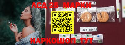 стафф Пенза