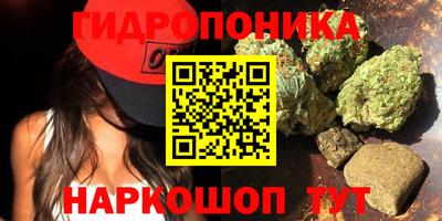 стафф Пенза