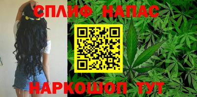 стафф Пенза