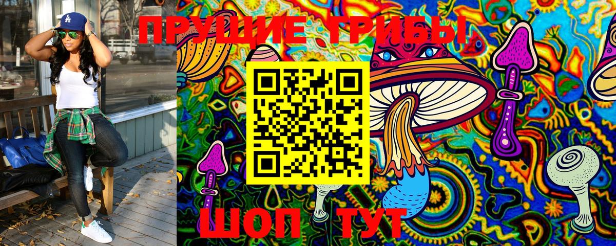 Псилоцибиновые грибы Psilocybe  Галлюциногенные грибы Magic Shrooms  купить наркотик  Вход с VPN  Сердобск 